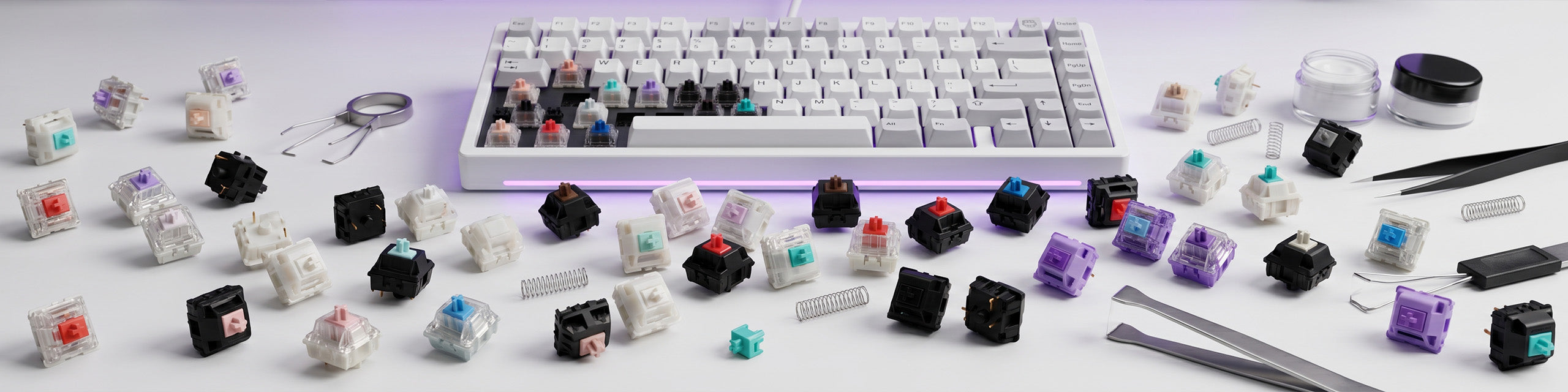 Keyboard Switches