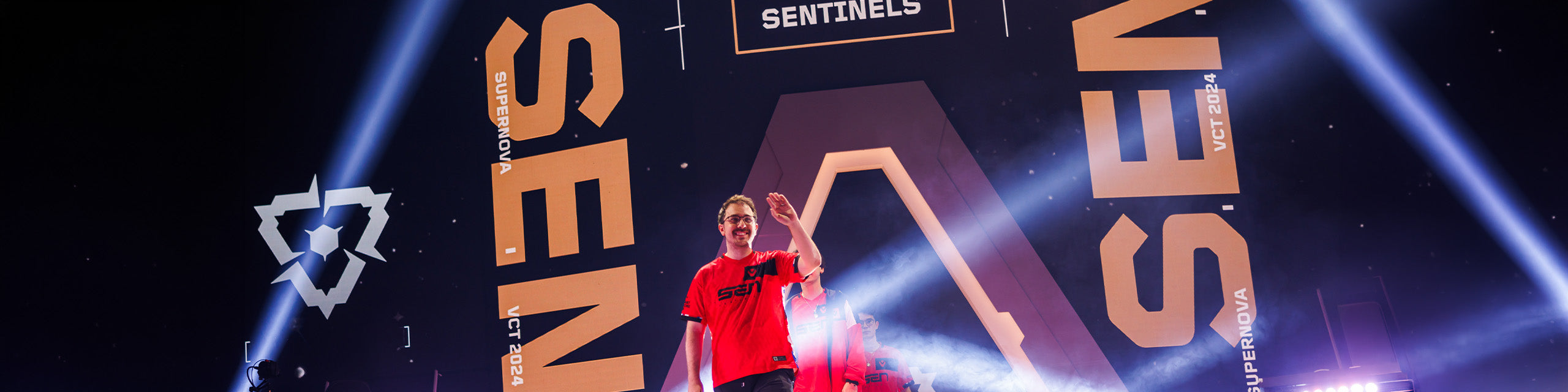 Sentinels