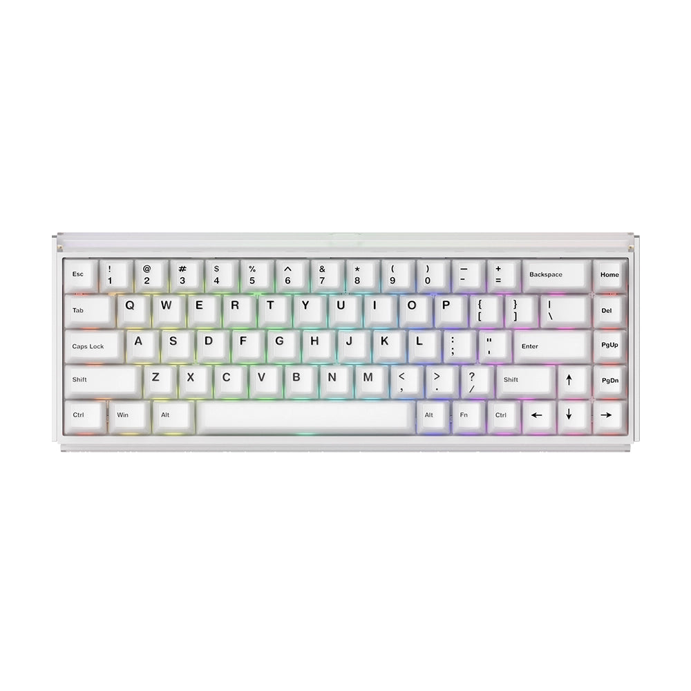 Akko RAY68 HE Wireless ANSI US Blanc