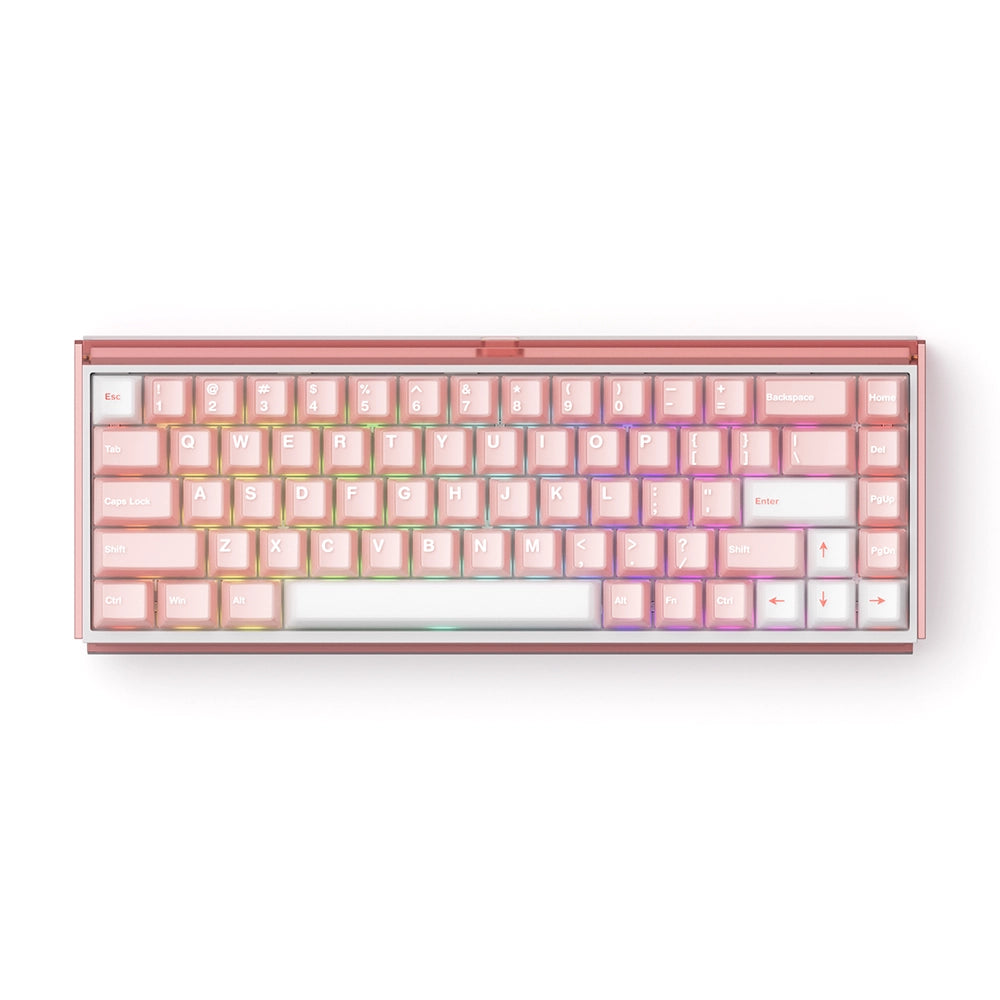 Akko RAY68 HE Wireless ANSI US Rose