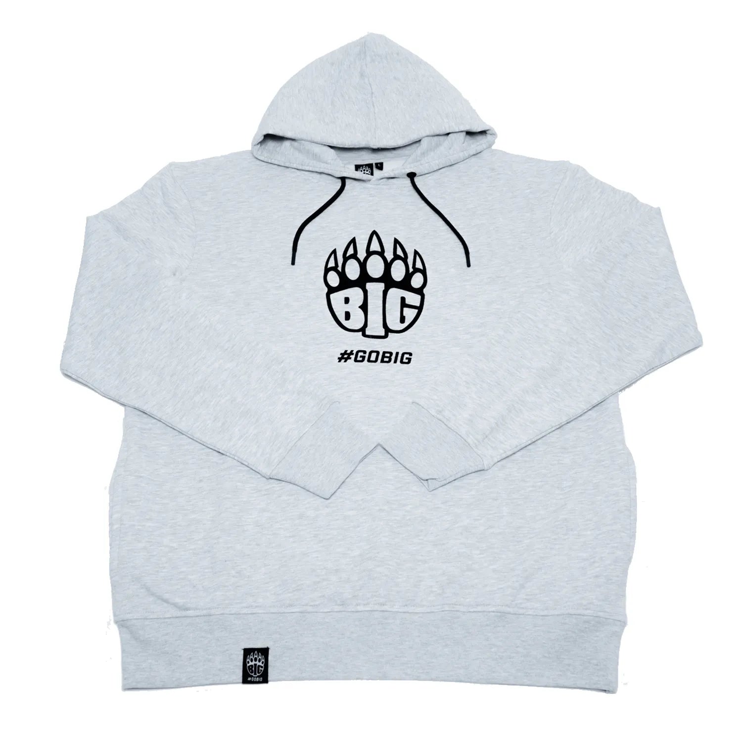 BIG Hoodie Origins Gris