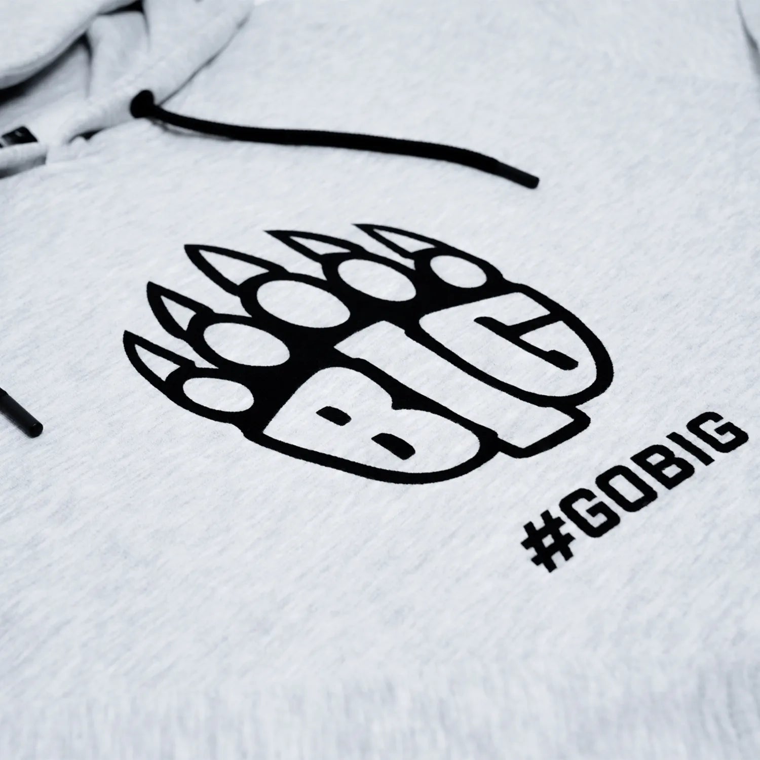 BIG Hoodie Origins Gris