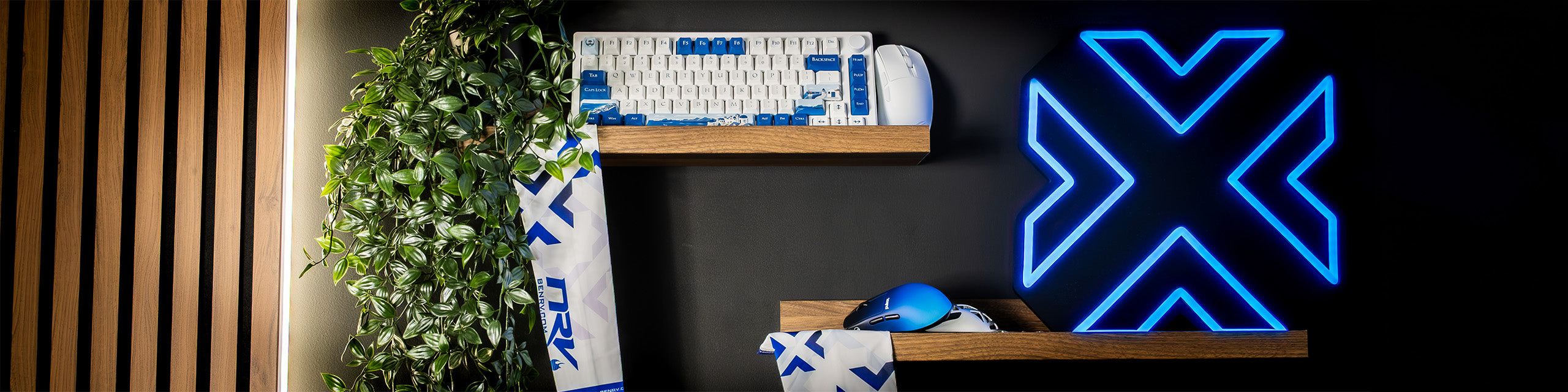 Maxesport