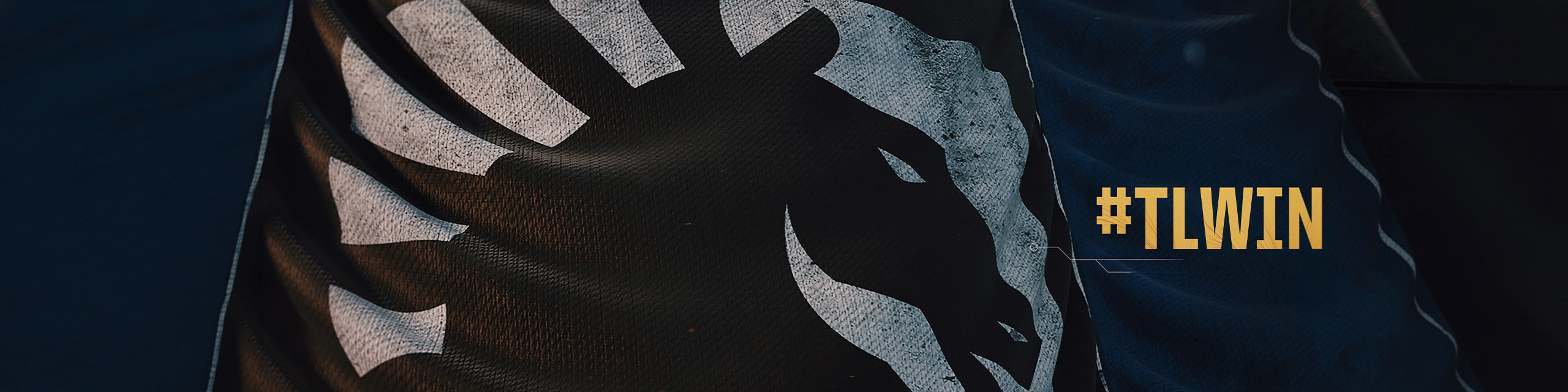 Team Liquid