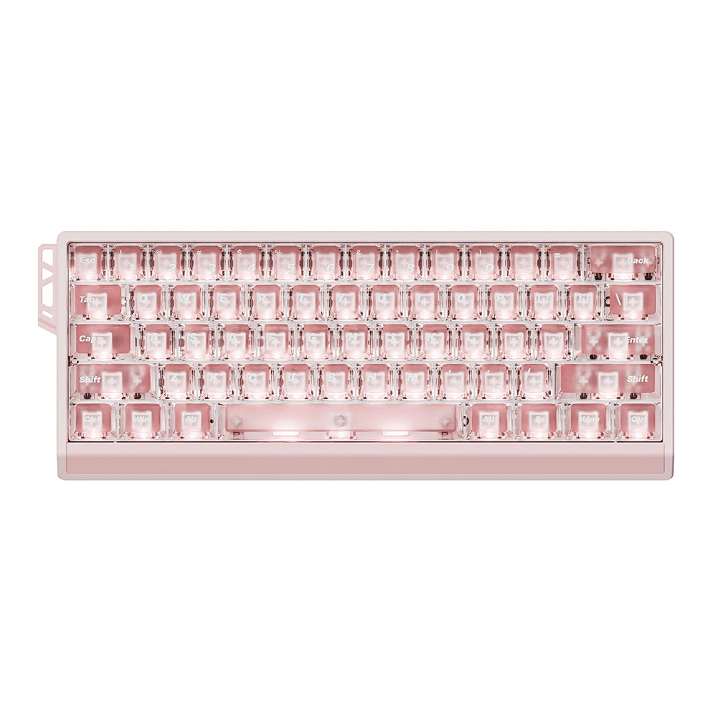 ATK 60RX HE ANSI US Rose