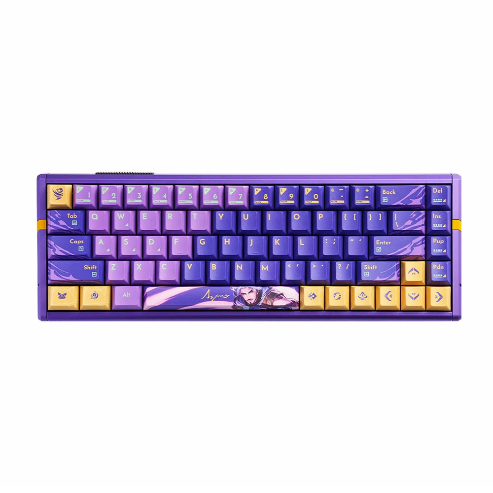 ATK RS6 Ultra HE ANSI US ASPAS Custom [TTC RGB Magneto]
