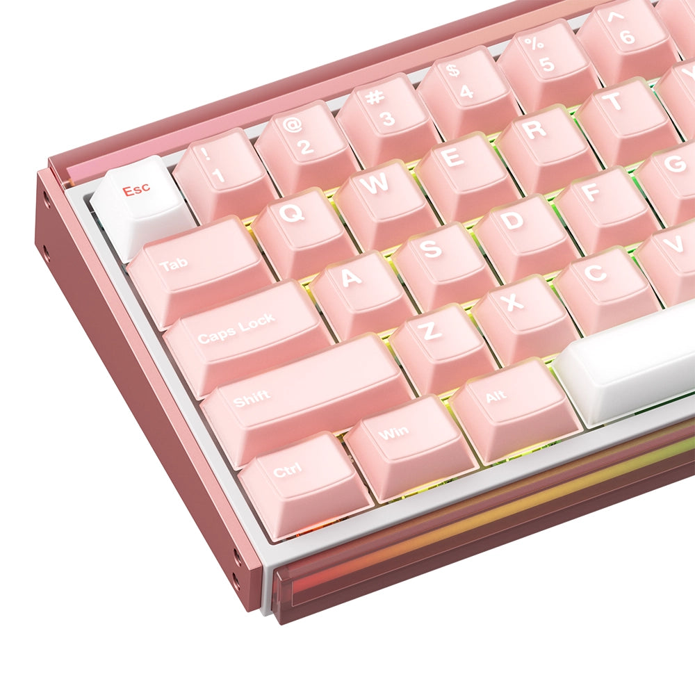 Akko RAY68 HE Wireless ANSI US Rose