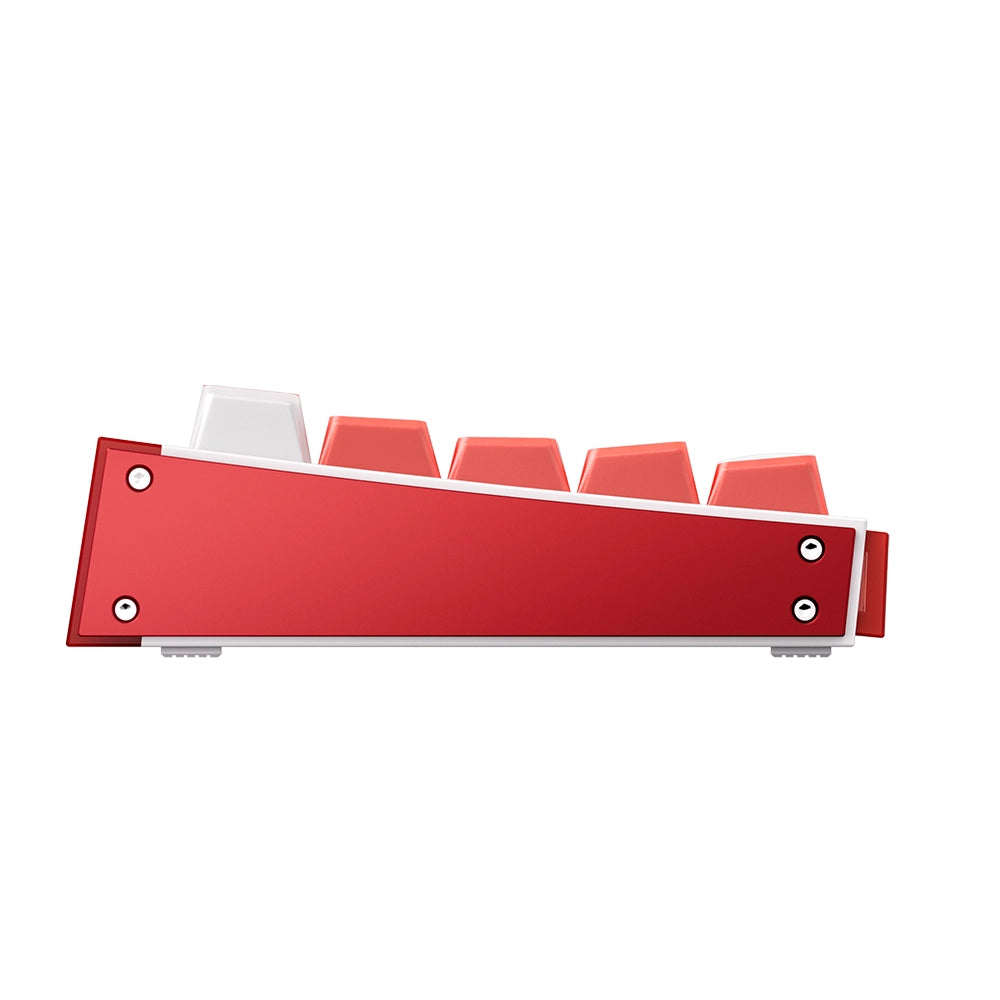 Akko RAY68 HE Wireless ANSI US Rouge