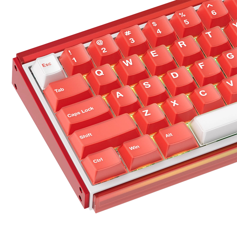 Akko RAY68 HE Wireless ANSI US Rouge