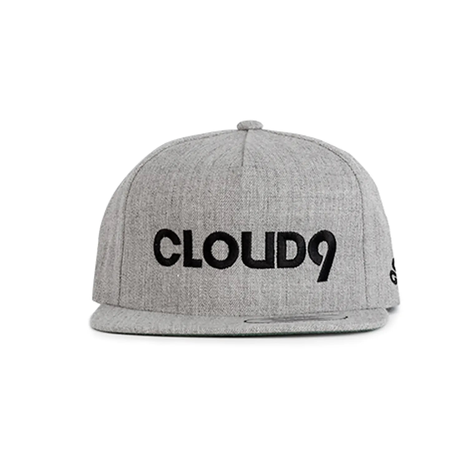 Cloud9 Wordmark Snapback Gris