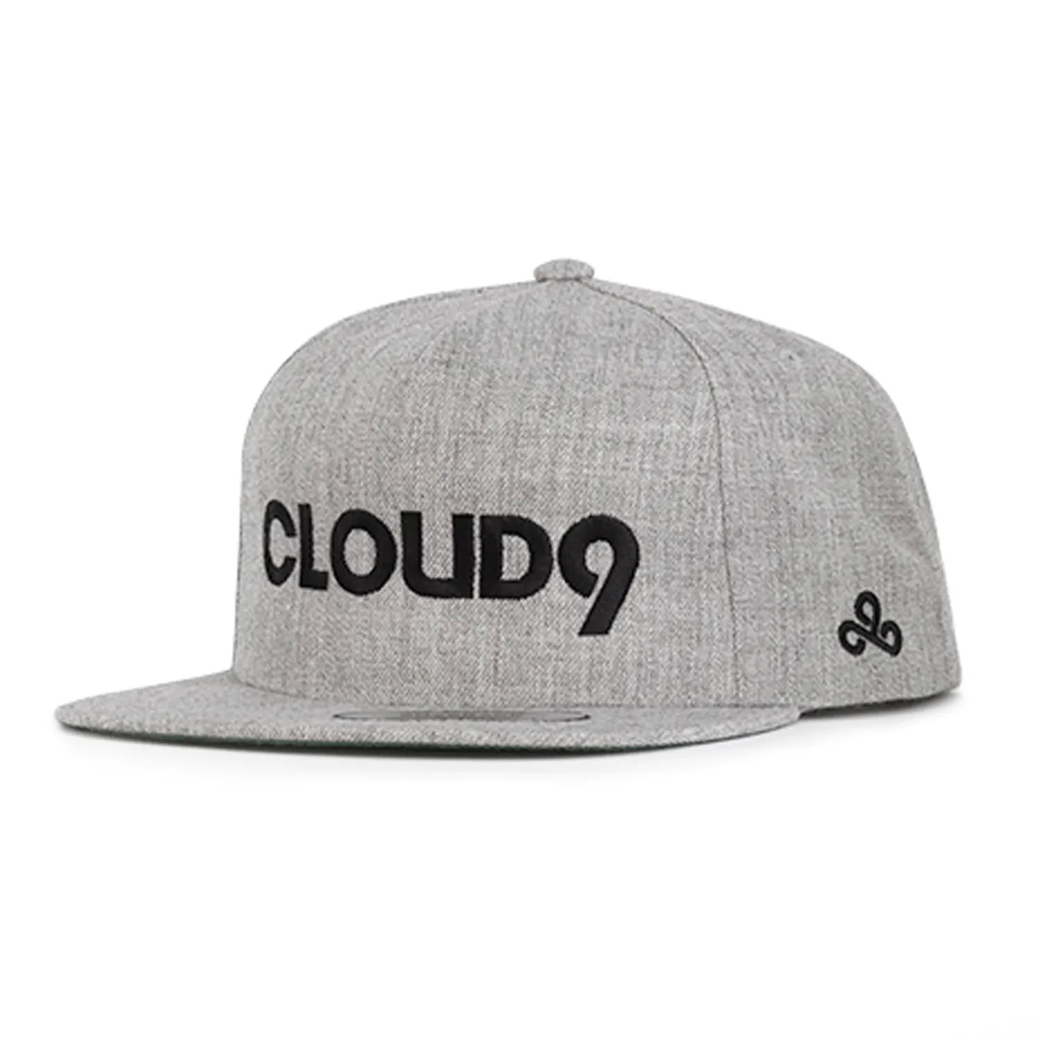 Cloud9 Wordmark Snapback Gris