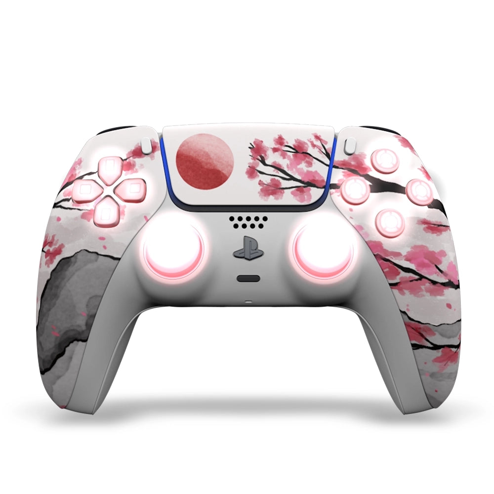 Draw My Pad PS5 Paddles Hanami LED