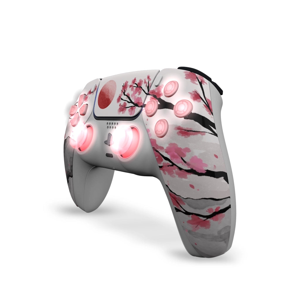 Draw My Pad PS5 Palettes Hanami LED