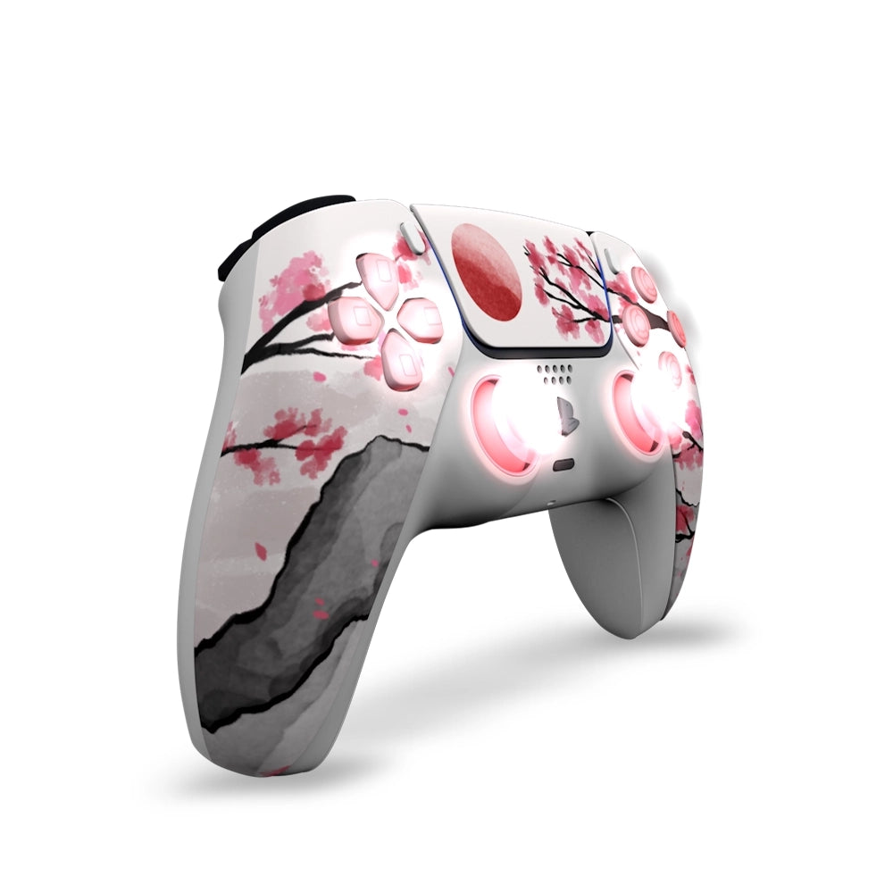 Draw My Pad PS5 Palettes Hanami LED
