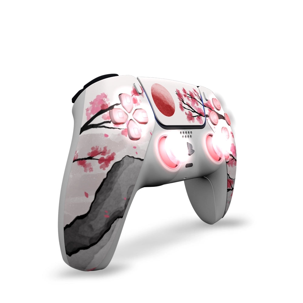 Draw My Pad PS5 Palettes FPS Hanami LED
