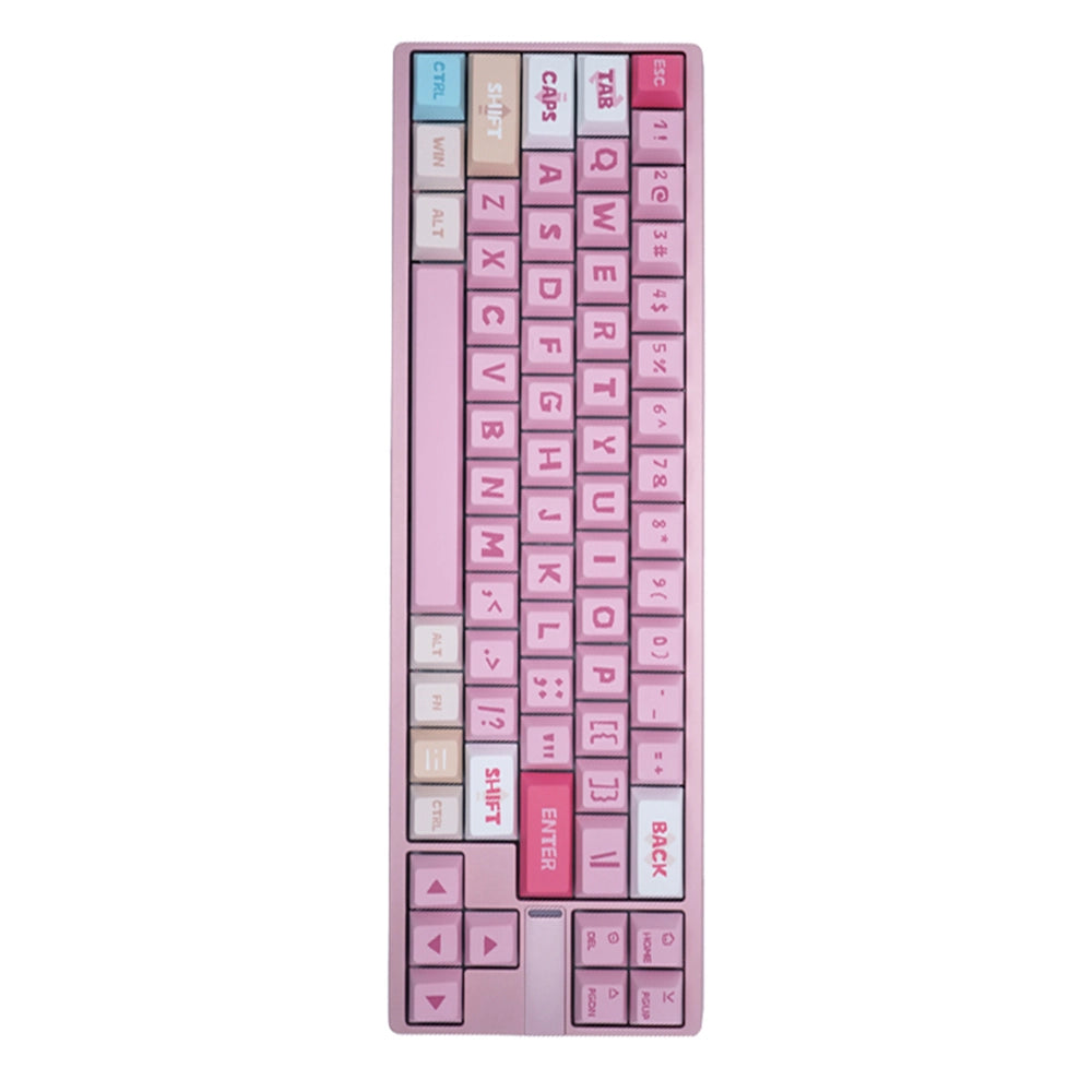 Darmoshark KT65 MAX Magnetic ANSI US Rose