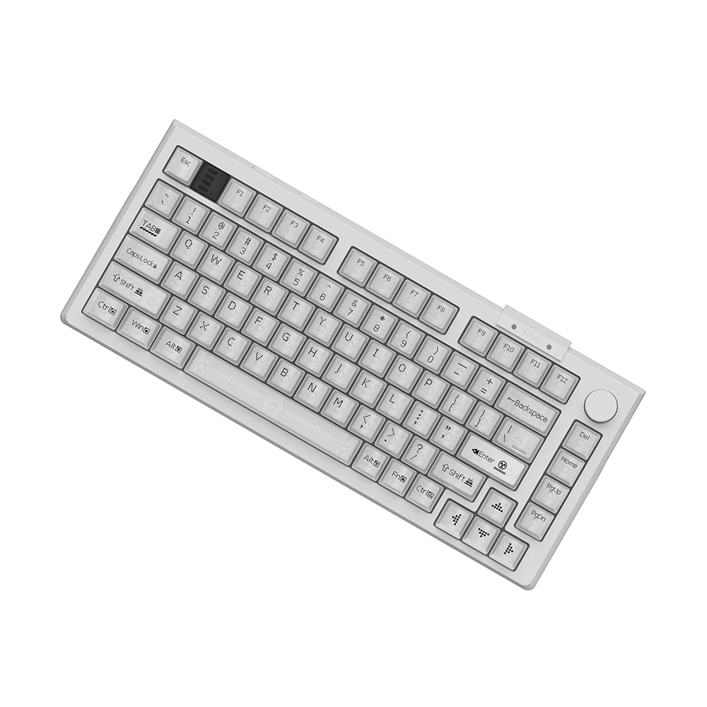 Darmoshark TOP75 Magnetic Wireless ANSI US White [Raesha]