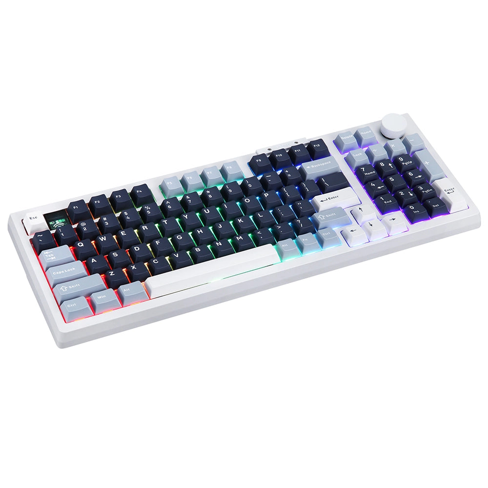 Darmoshark TOP98 RGB Wireless White ANSI US
