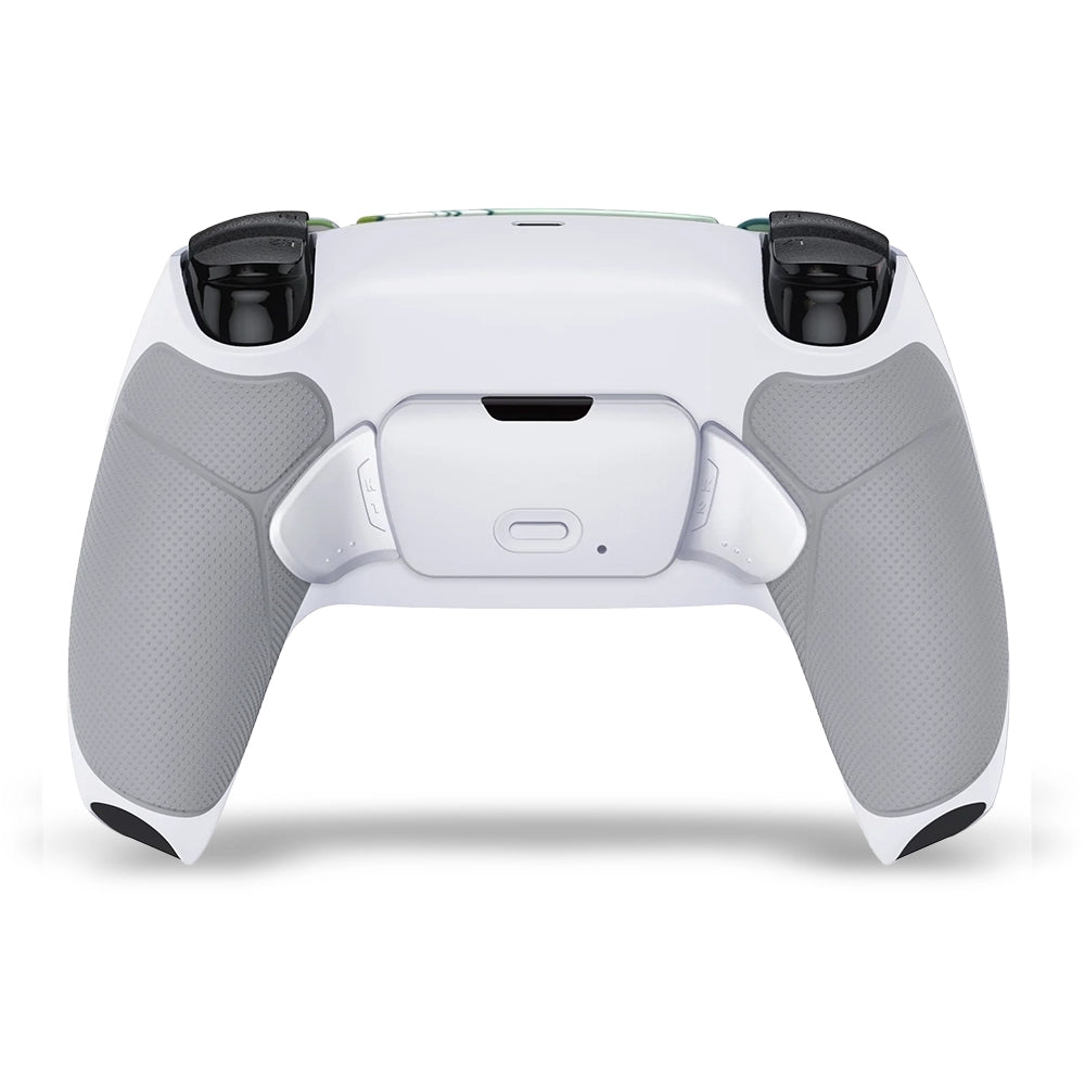 Draw My Pad PS5 Paddles Koi