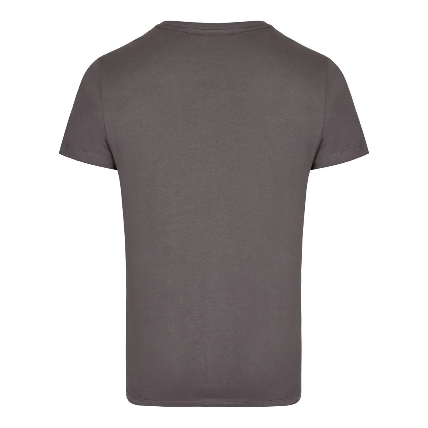 Dreamhack T-Shirt Gris