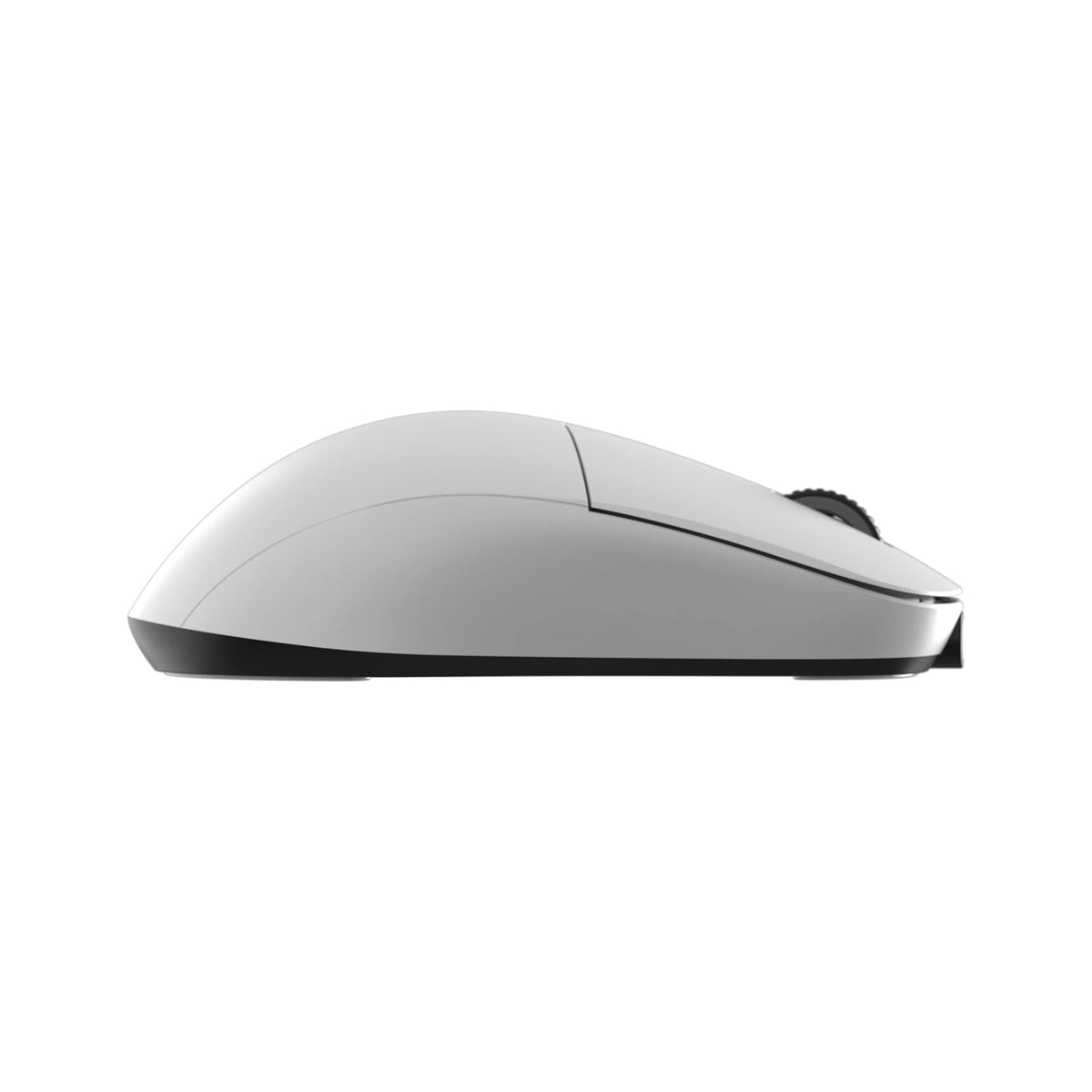 Endgame Gear XM2we Wireless - Blanc