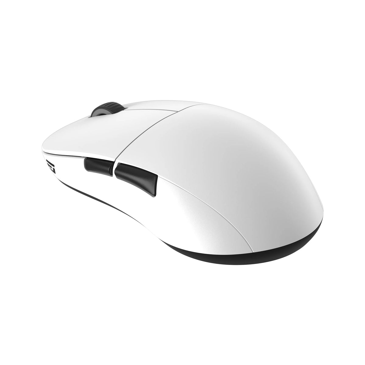 Endgame Gear XM2we Wireless - Blanc