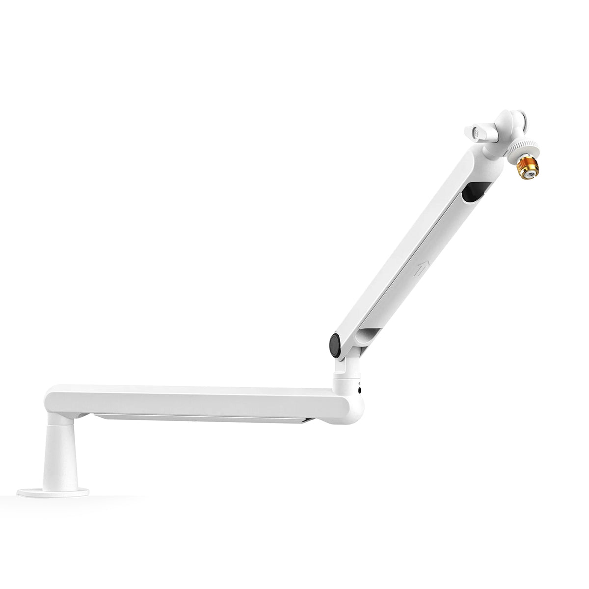 FIFINE BM88 - White