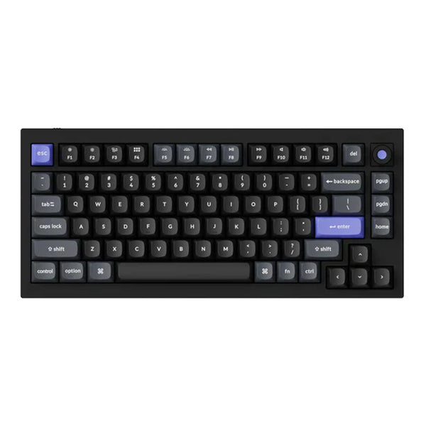 Keychron Q1 HE 8k・パームレスト・黒透明OSAキーキャップセット Keychron-Q1-HE-8K-ANSI-US-Noir