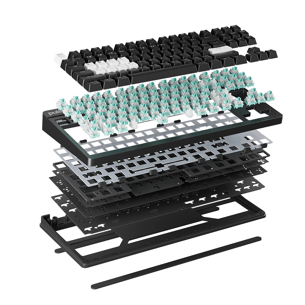 Pulsar Xboard QS ANSI US Black