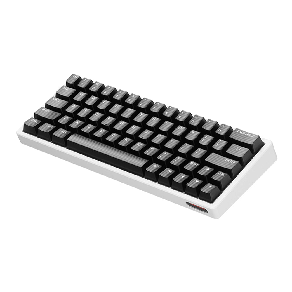 Scyrox Xpunk 63 Esports Magnetic ANSI US Blanc/Noir