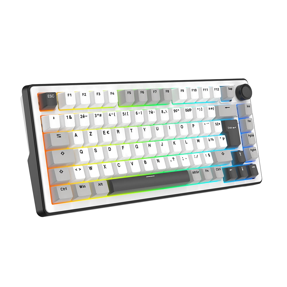 The G-Lab Keyz Elite 300 Wireless ISO FR White/Gray
