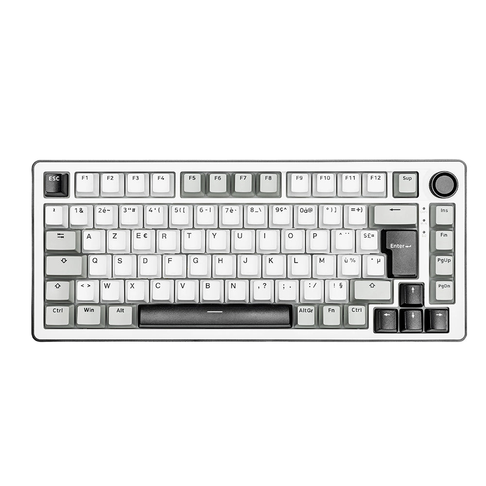 The G-Lab Keyz Elite 300 Wireless ISO FR White/Gray