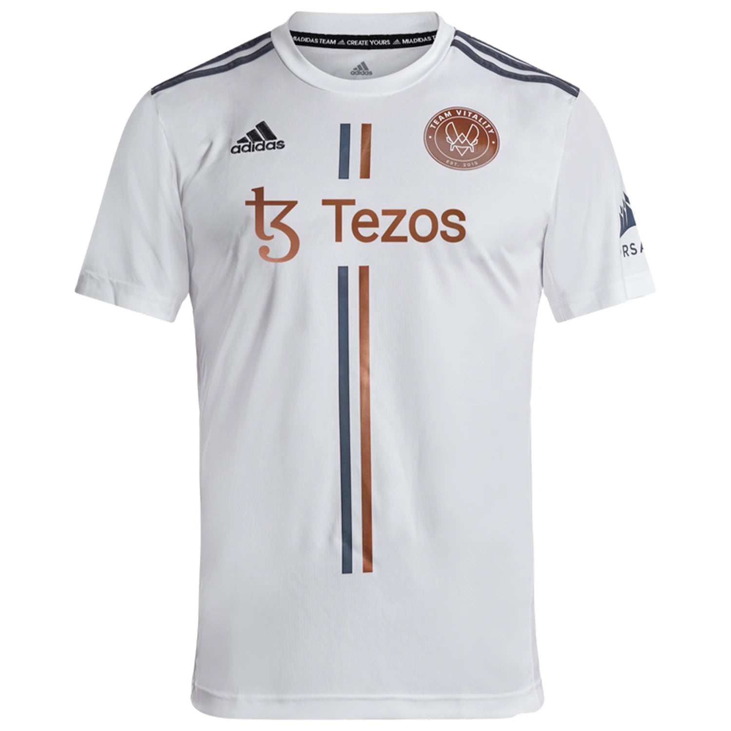 Vitality Maillot Alternate 2021 V2