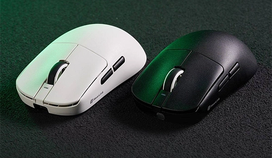 Souris blanche avec souris noir