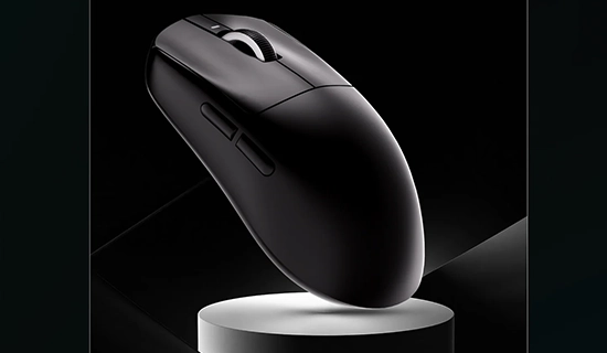 Souris noir posé