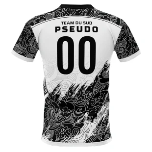 Team Du Sud Maillot Alternate 2024 2
