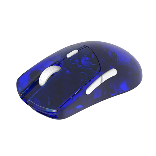 G Wolves Hts Bleu 2