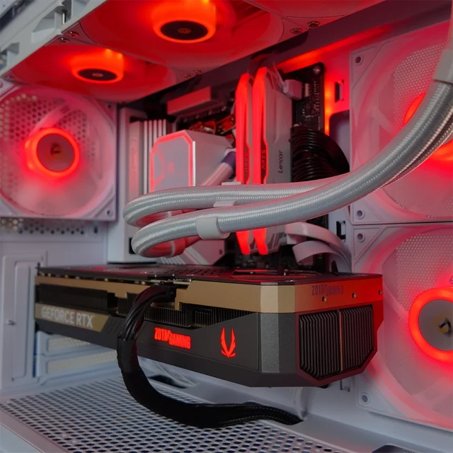 Forza Pc Rubis New 4