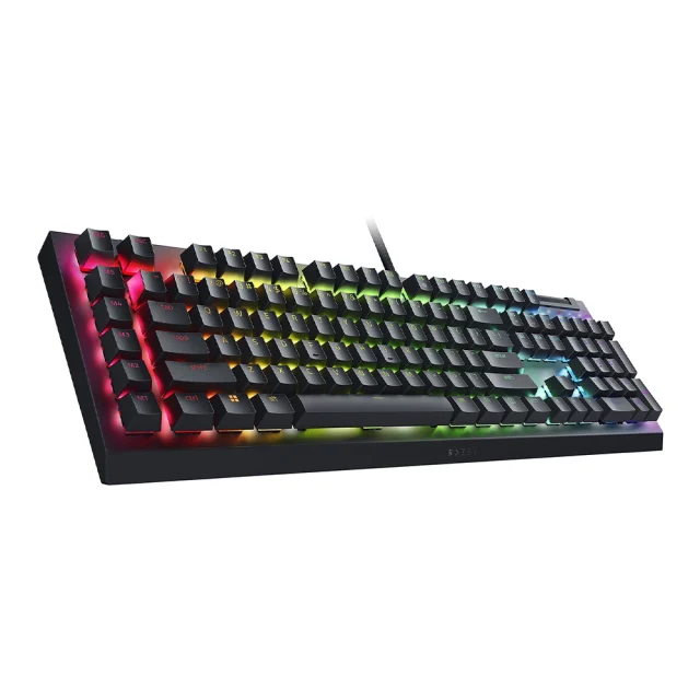 Razer blackwidow v4 x 2 Razer Blackwidow V4 X 2