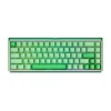 Akko RAY68 HE Wireless ANSI US Vert