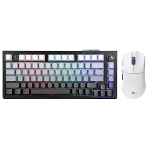 Pack Darmoshark Gold Blanc Darmoshark Pack Gold Blanc