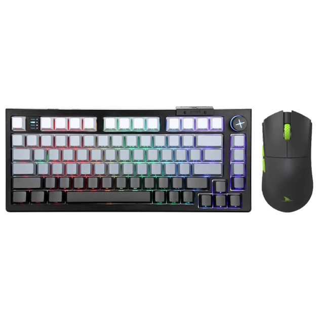 Pack Darmoshark Gold Noir Darmoshark Pack Gold Noir