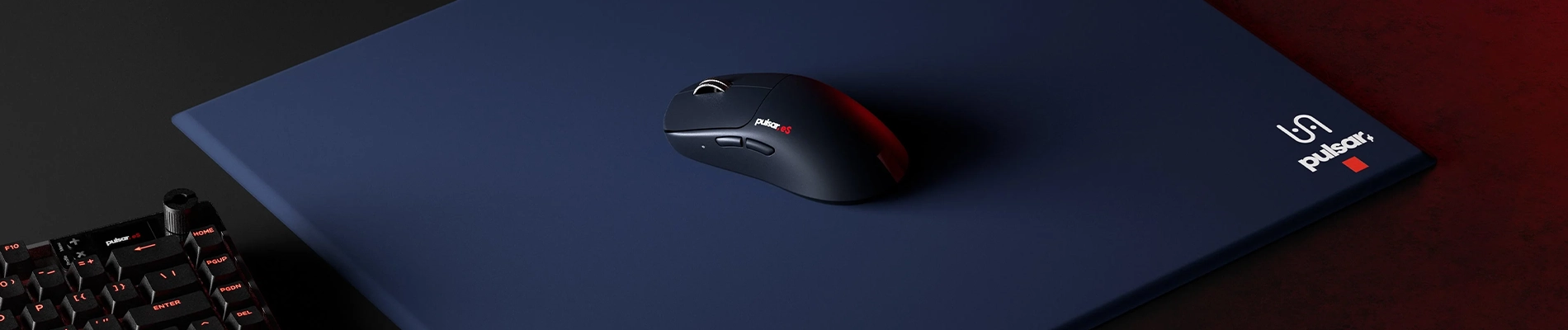 Pulsar X Vaxee Banner Blog