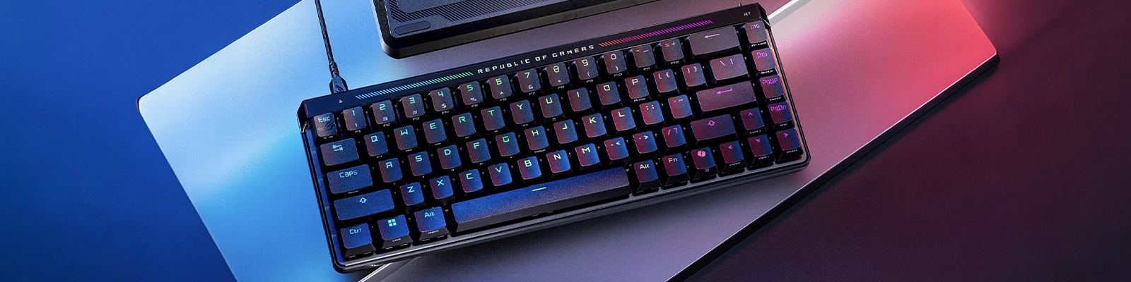Asus Rog Banner Marque