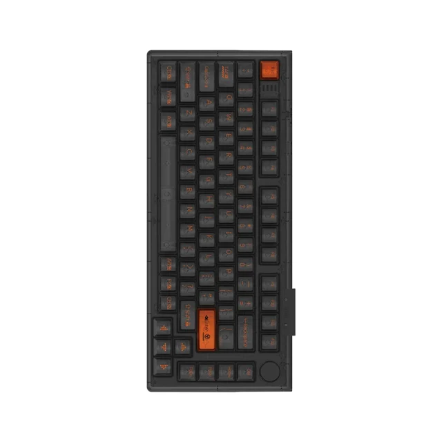 Darmoshark Top75 Magnetic Ansi Us Noir [Raesha]