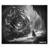 LockOn Odyssey Noir/Blanc