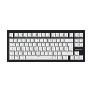 Wooting 80 HE ISO FR Noir - PBT Blanc