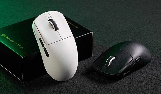 Souris blanche avec souris noir