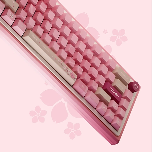 Tryhard Clavier Hayami