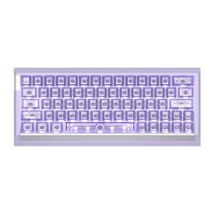 ATK RS63 Air Magnetic ANSI US Violet [Ice Blade]